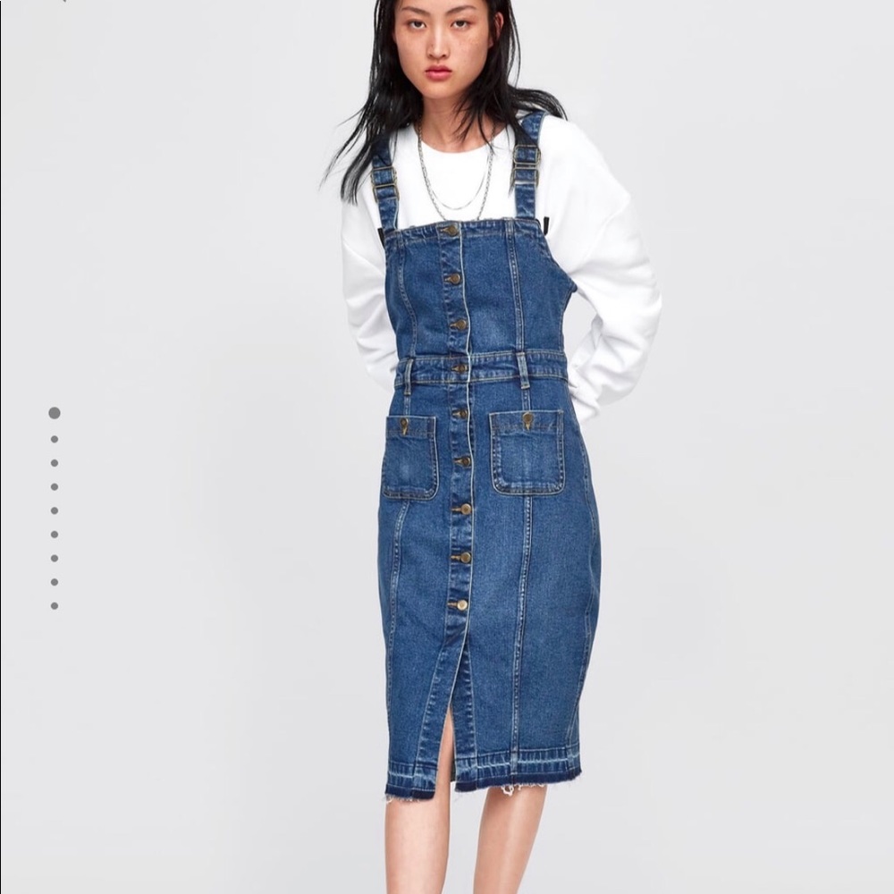 Zara button down denim dress